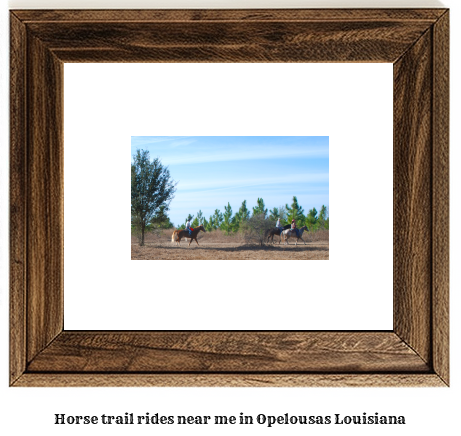 horse trail rides near me in Opelousas, Louisiana